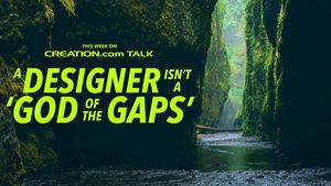 A Designer Isn’t a ‘God of the Gaps’ (creation.com talk)