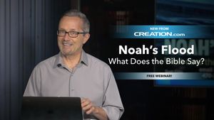 Noah's Flood: What Does the Bible Say?