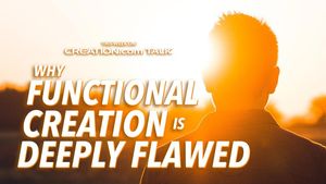 Why Functional Creation is Deeply Flawed