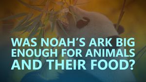 Was Noah’s Ark big enough for animals and their food?
