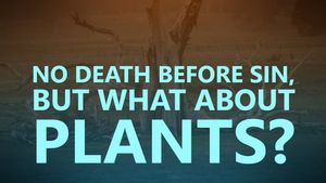 No death before sin, but what about plants?
