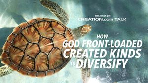 How Did God Front-load Created Kinds to Diversify?