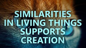 Similarities in living things supports creation