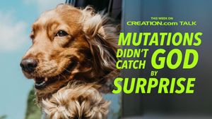 Mutations Didn't Catch God by Surprise: Species Were Designed to Change