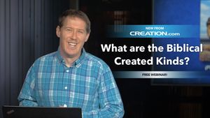What Are the Biblical Created Kinds?