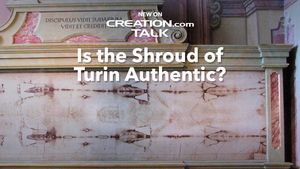 Is the Shroud of Turin Authentic?