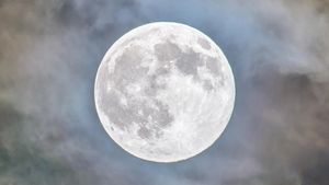 Did the Moon Landing Bring Evolutionary Insights?