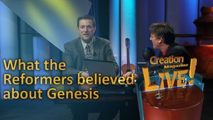 What the Reformers believed about Genesis 