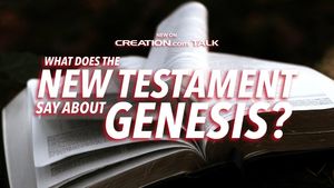 What Does the New Testament Say About Genesis?