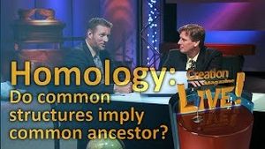 Homology -- do common structures imply common ancestor? 