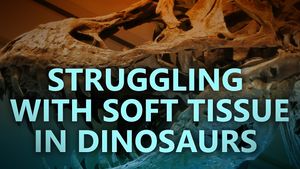 Struggling with soft tissue in dinosaurs