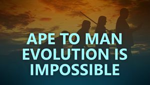 The impossibility of ape to human evolution