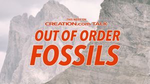 Out of Order Fossils