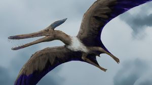 Did Pterosaurs Really Have Feathers?