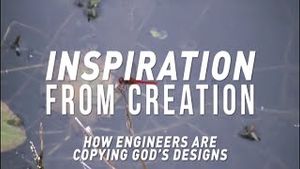 Inspiration from Creation - Trailer
