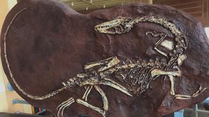 Dinosaur Fossils: Upside Down and Bent Over Backwards