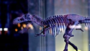 Did Dinosaurs Go Extinct Millions of Years Ago?