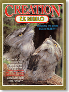 Creation Magazine Volume 11 Issue 3 Cover