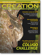 Creation Magazine Volume 33 Issue 2 Cover