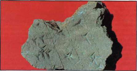 Paving brick uncovered at Nineveh