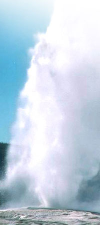 A geyser nicknamed old faithful