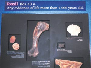 8891Fossil-sign