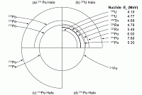 Composite schematic drawing of the radiation rings