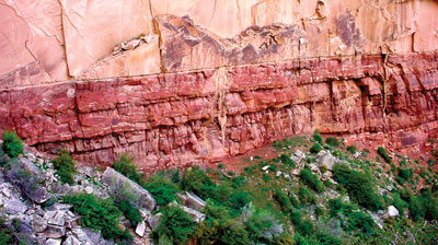  Knife-edge contact between Coconino Sandstone (top) and Hermit Shale (below), Grand Canyon, supposedly represents a time gap of about 6 million years, but shows no sign of such prolonged erosion.