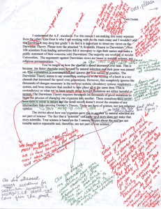The teacher's tri-colored responses to the paper