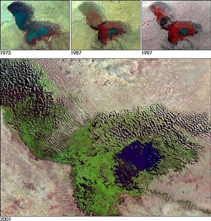 Satellite photos of Lake Chad in 1973, 1987, 1997 and 2001 showing shrinking size.
