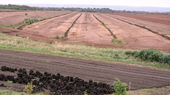 Industrial peat-harvesting