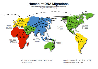 Human mtDNA Migrations