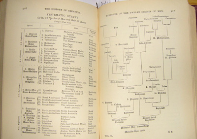 Haeckel History