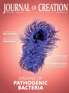 Journal of Creation Volume 30(2) Cover