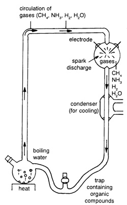 Simplified apparatus for abiotic synthesis of organic compounds as performed originally by Miller and Urey. By varying the mixture of gases, including using volcanic gases of today, experimenters have been able to produce many types of organic compounds.