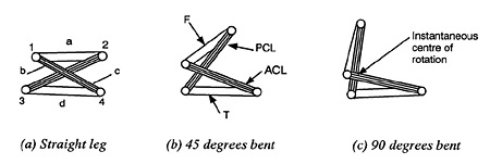 Schematic diagram of the four-bar mechanism in the knee joint.