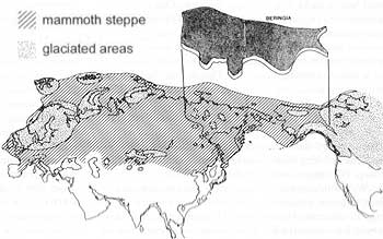 Fig 2: Distribution of woolly mammoth remains, and the mammoth steppe