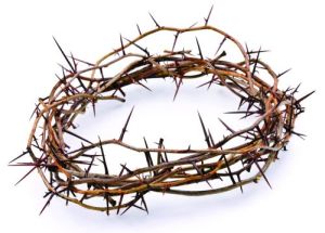 a crown of thorns