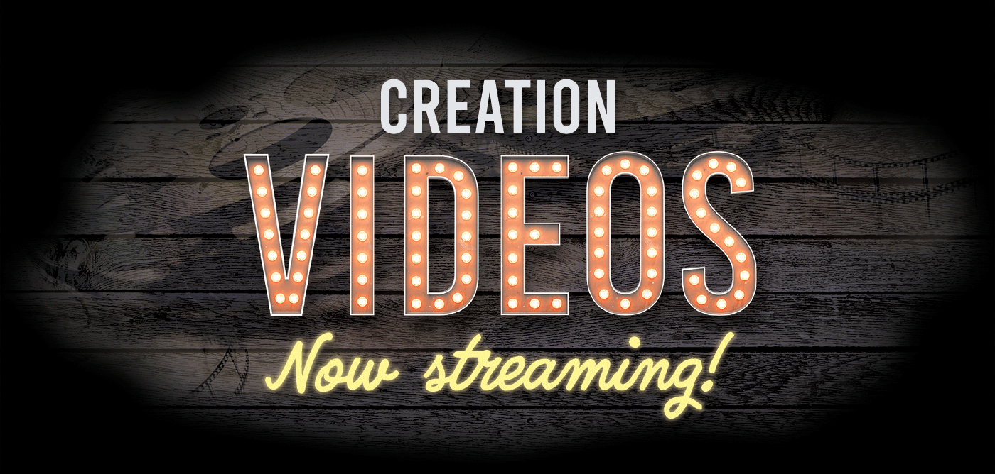 Creation videos—now streaming!